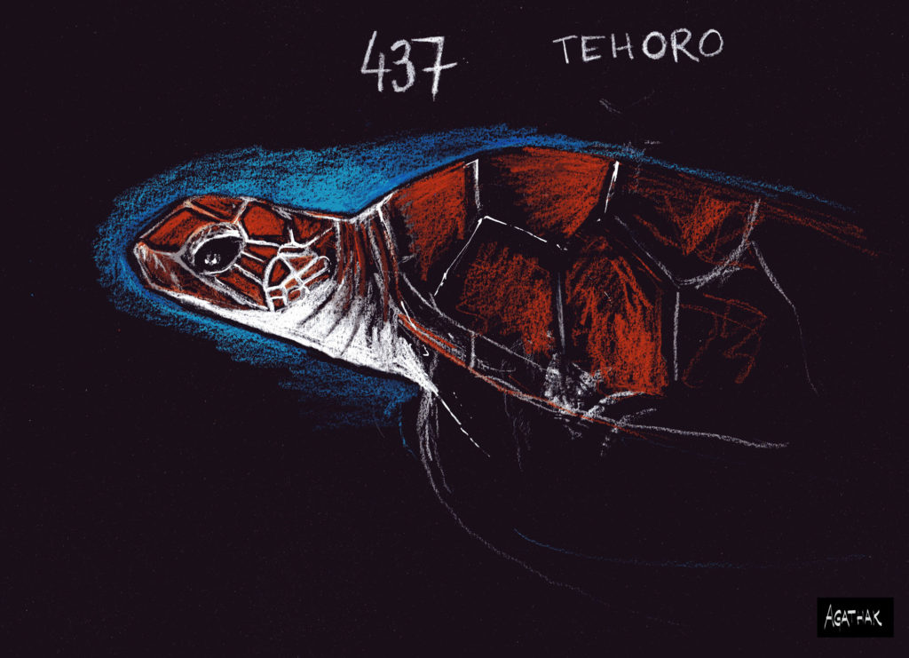 437